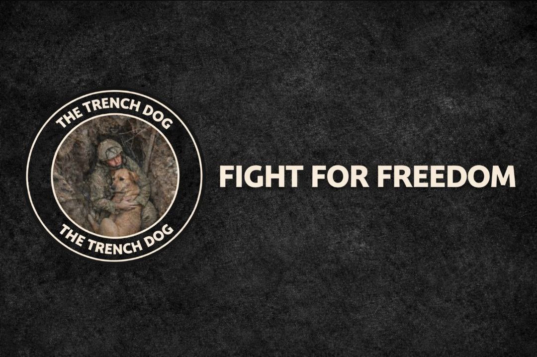 Trench Dog 1st division tweet media