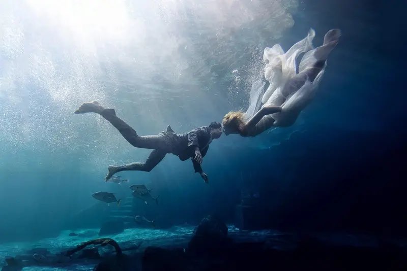 Maloman Studios tweet media