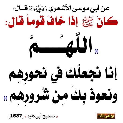 jamil tweet media