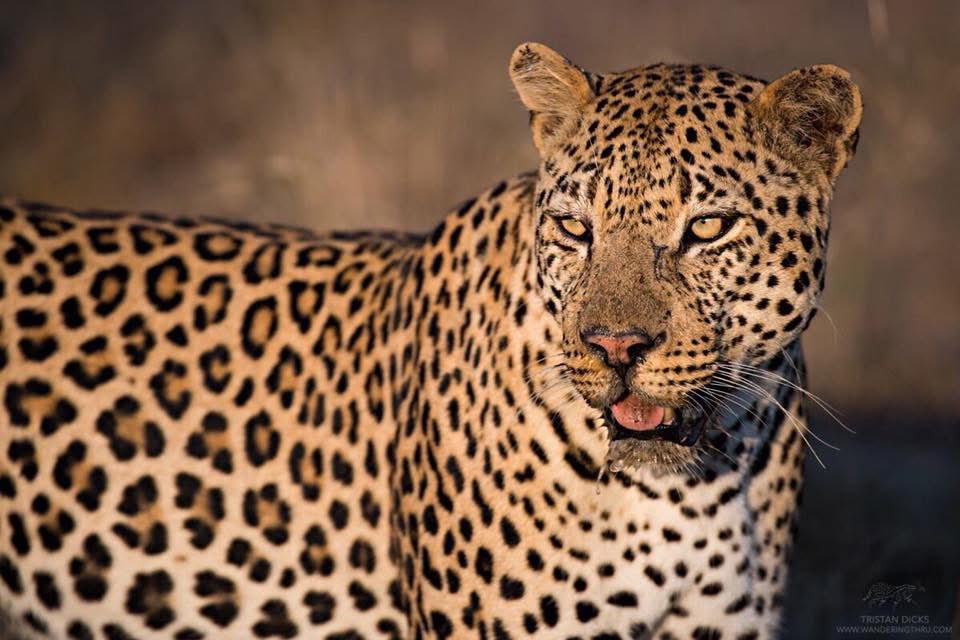 Michael Fleetwood tweet media