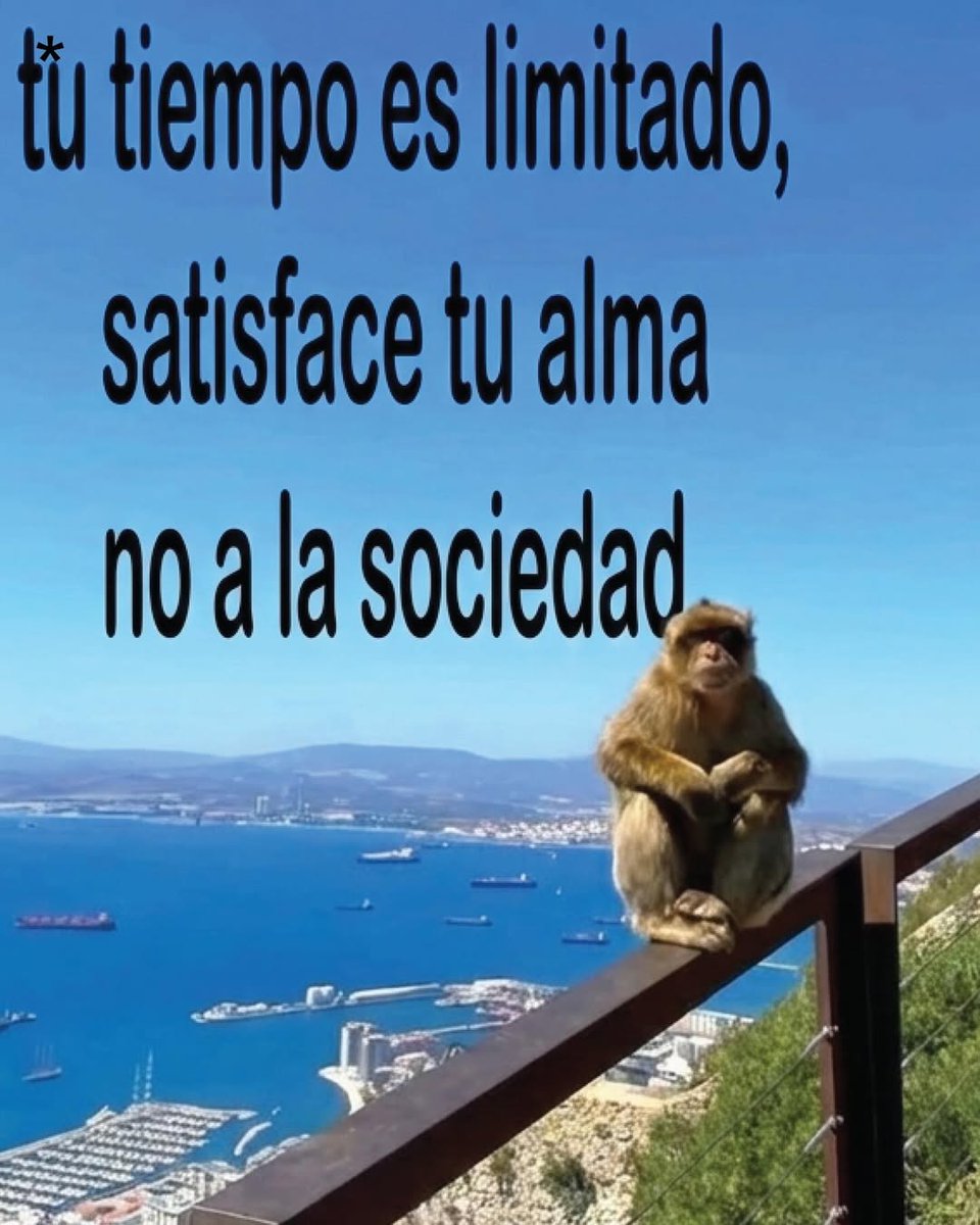 bauldefrases (@suspirxsalaire) on Twitter photo 