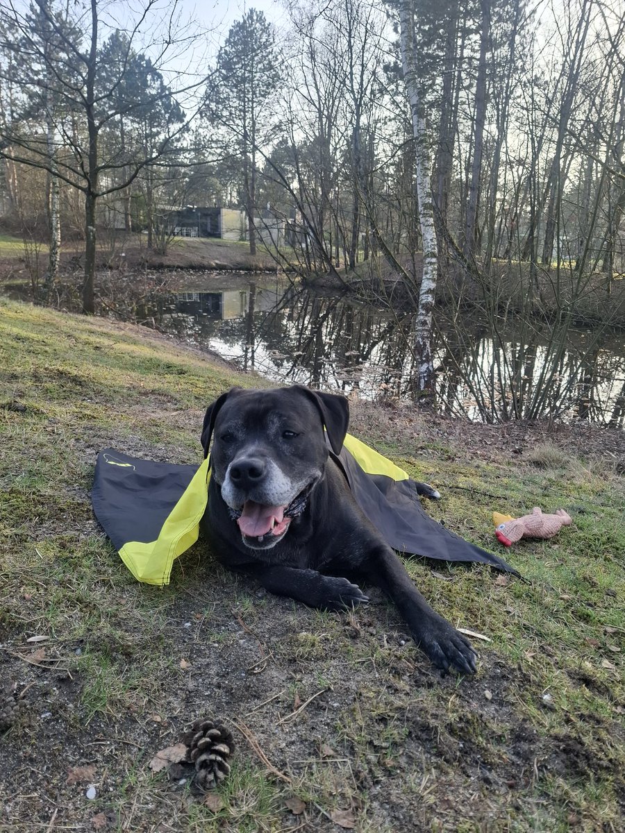 ๐ป๐๐๐๐๐๐๐๐๐ โจ tweet media