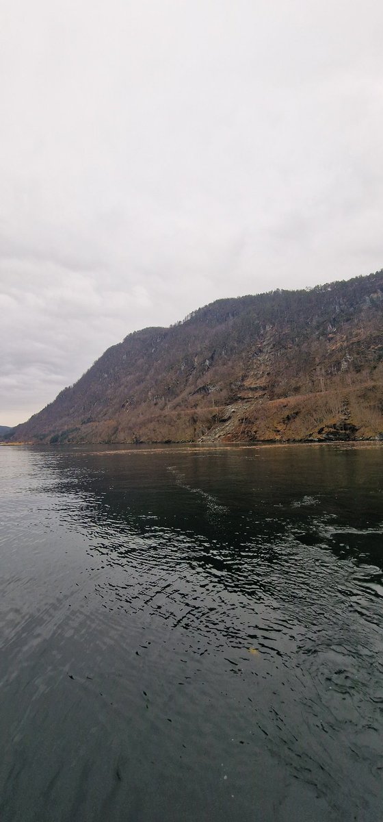 Redningsselskapet tweet media