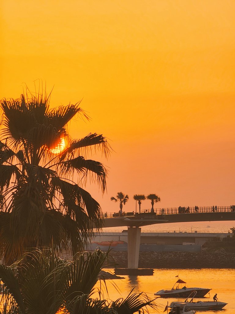 Jersey28694594's tweet image. Good evening dear guys 🙋💕💞🙋 
#sundayevening