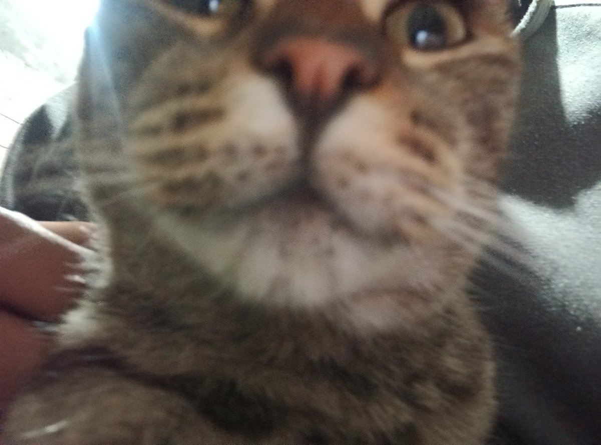 UNCLOK 👄 tweet media