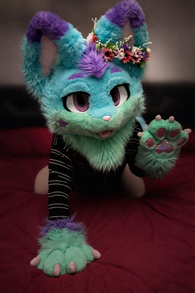 FursuitingFox's tweet photo. Careful… this fox bites 👀🦊

Got the paws out, the fluff brushed, and a very dangerous level of cute tonight.
The real question is…

are you strong enough to resist if I crawl a little closer? 🐾

❤️ if you’d pet
🔁 if you’d let the fox on your bed https://t.co/5ynKqbfUEm