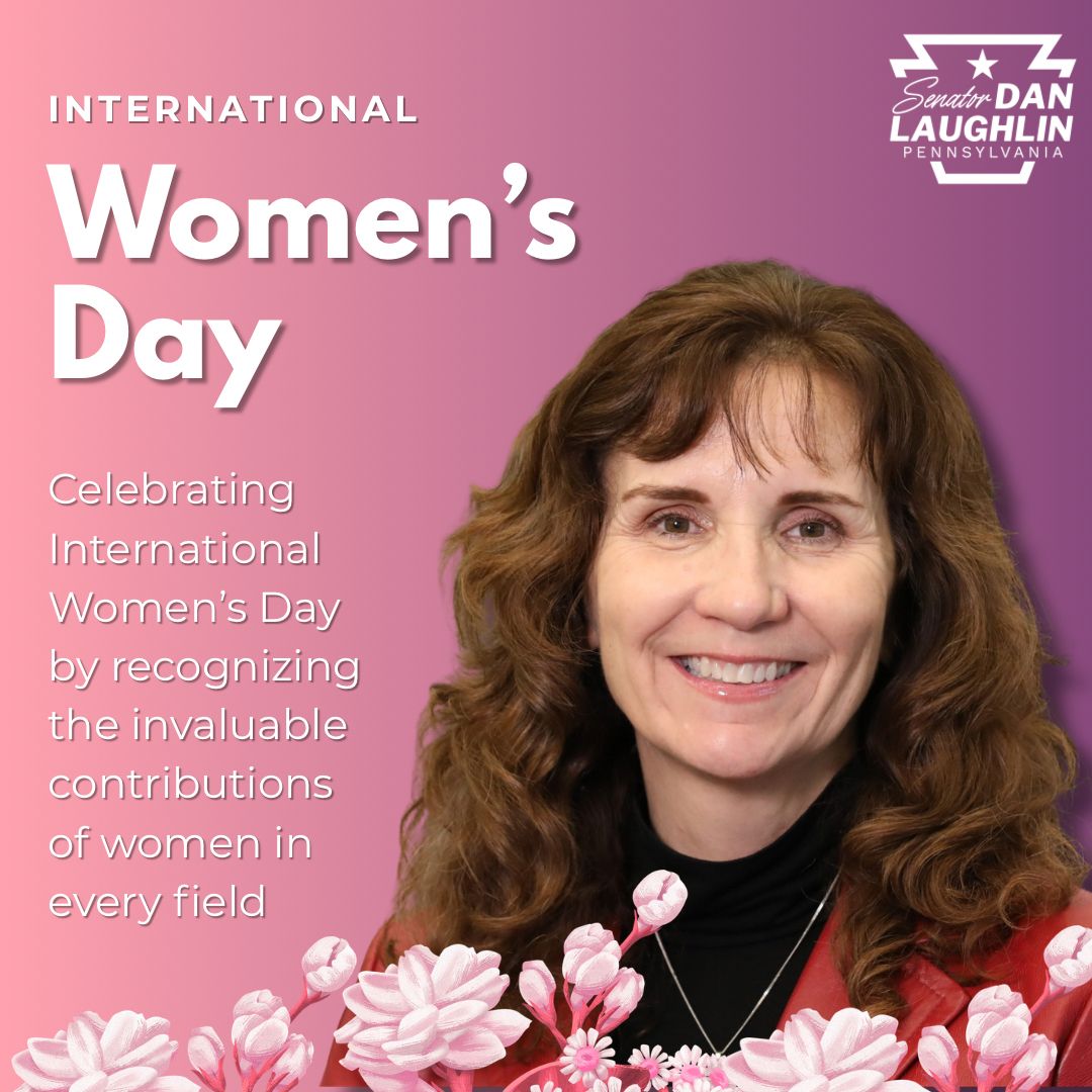 Senator Dan Laughlin tweet media