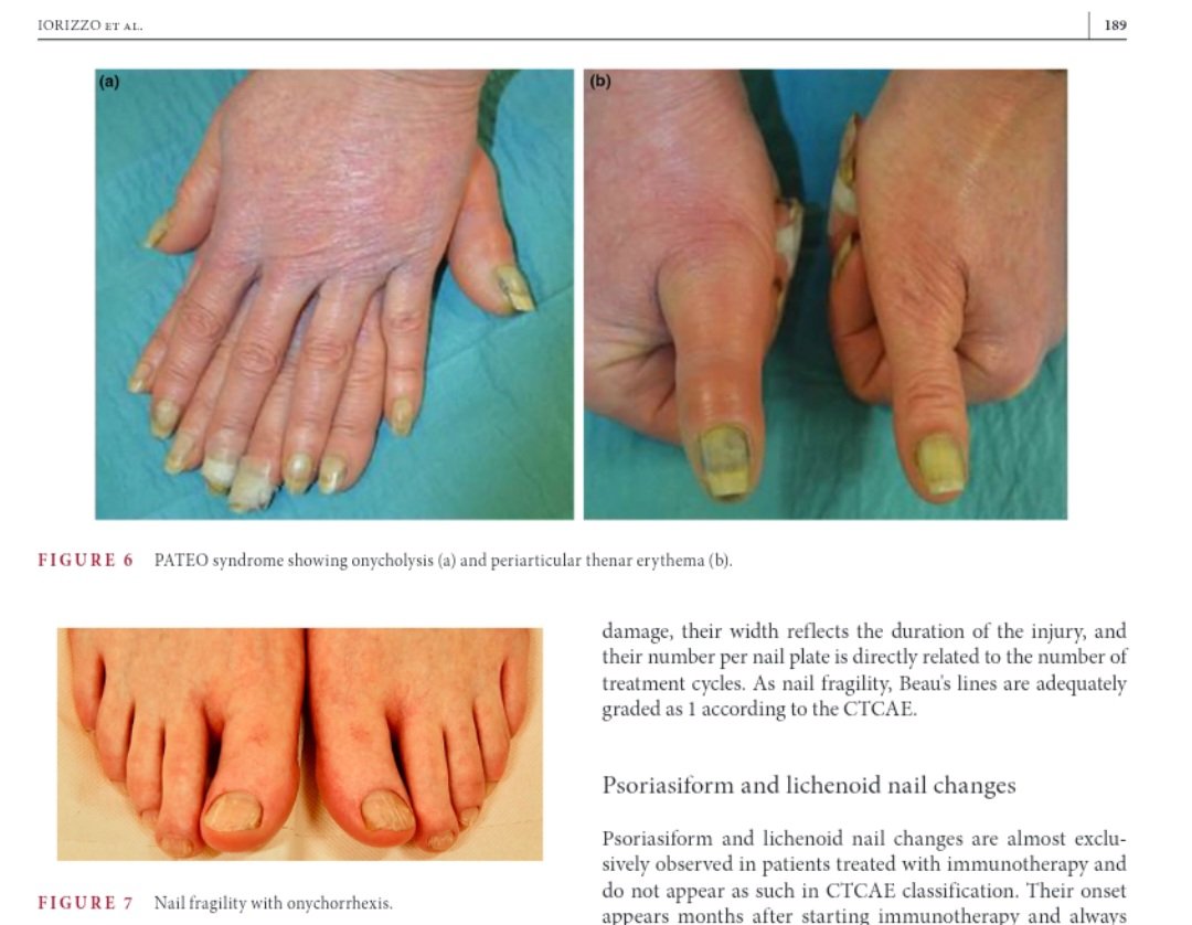 Yakup Ergün tweet media