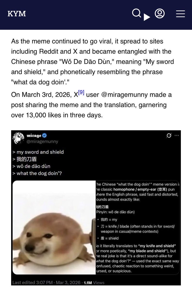 𝖒𝖎𝖗𝖆𝖌𝖊 tweet media