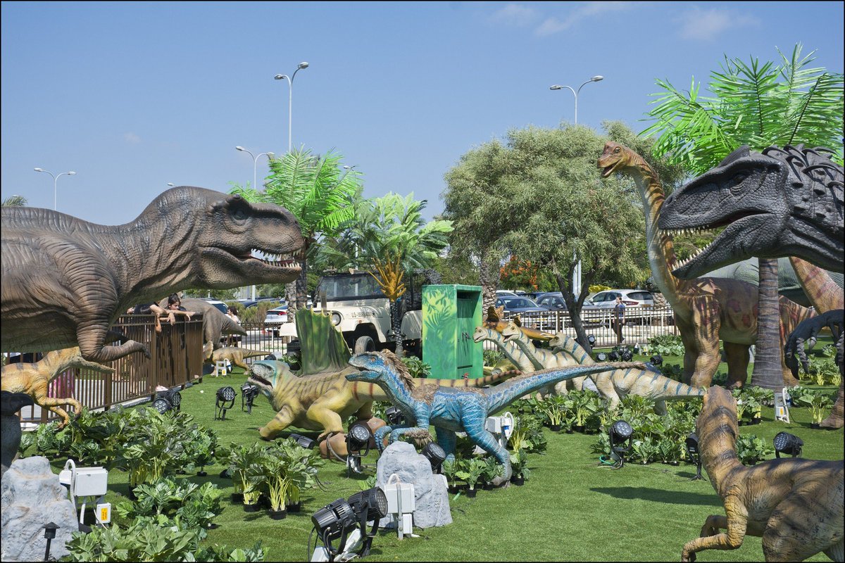 Irad Atzmon Schmayer tweet media