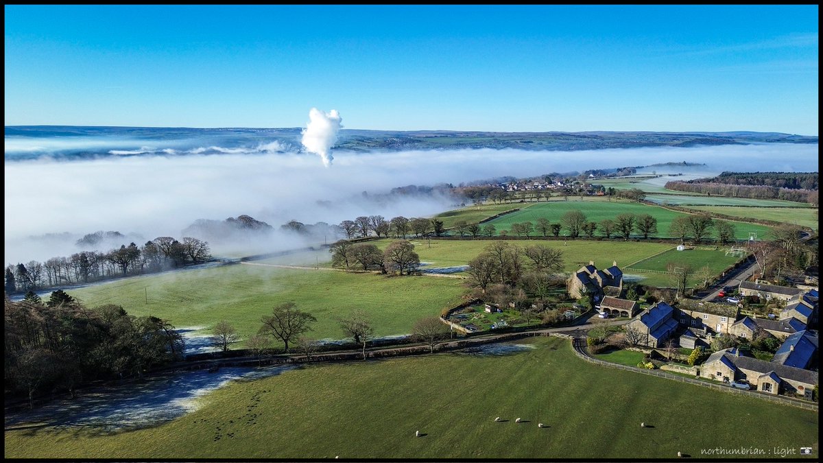 Robin Down tweet media