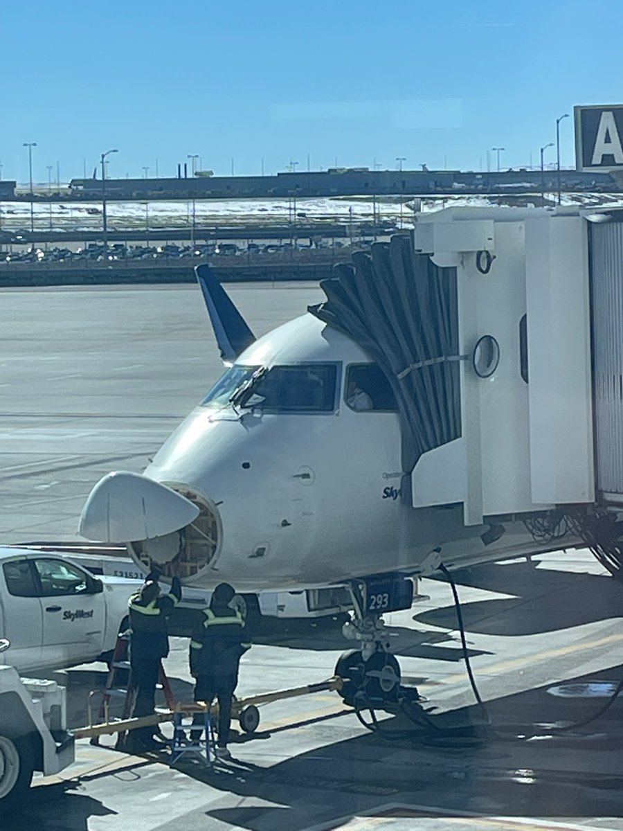 🟣 Chris Holland tweet media