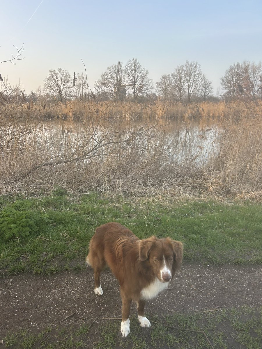 Marianne Zwagerman 💟☮️ tweet media