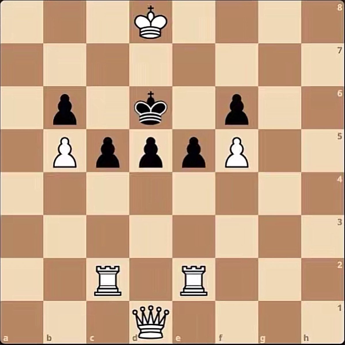 Chess Master tweet media