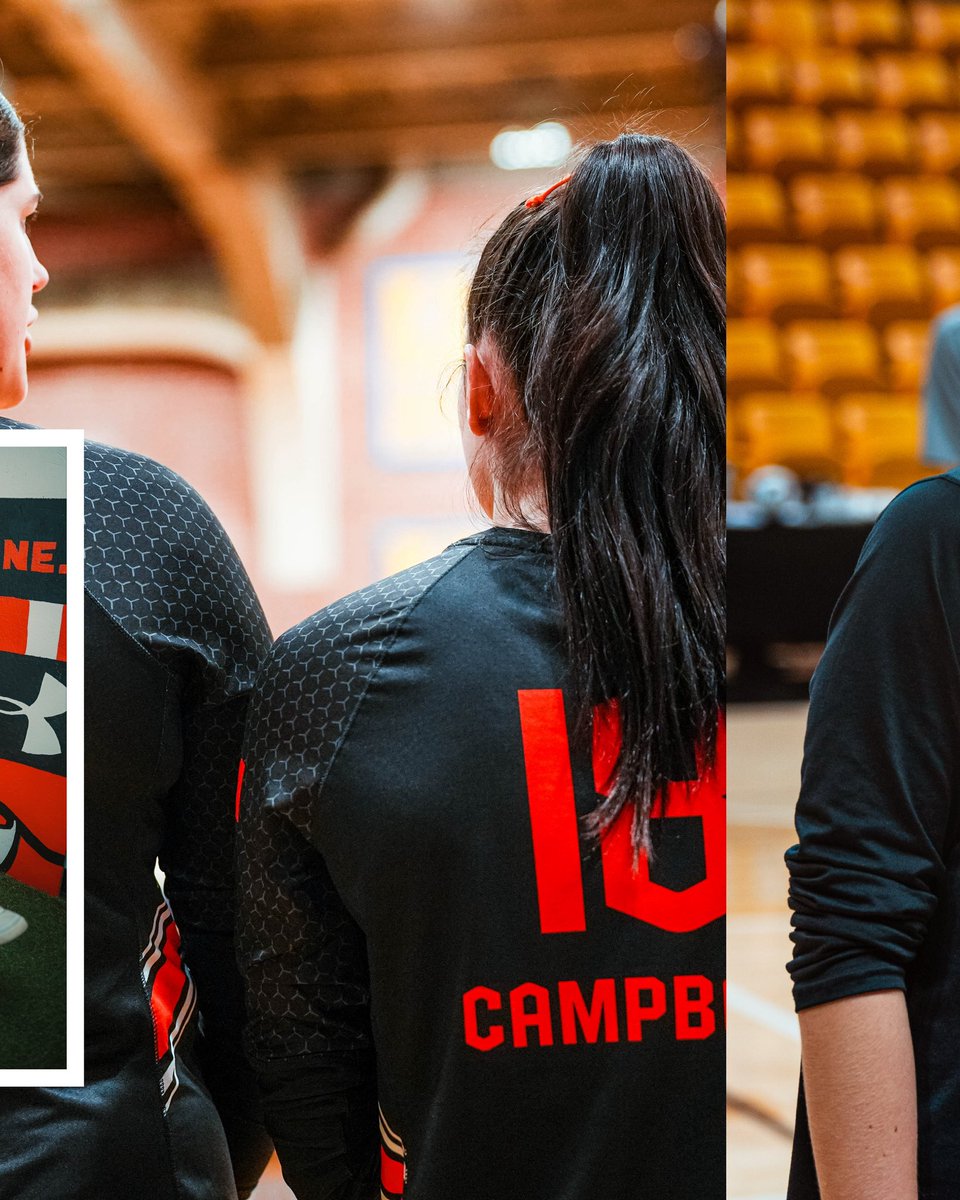 Campbell Volleyball tweet media