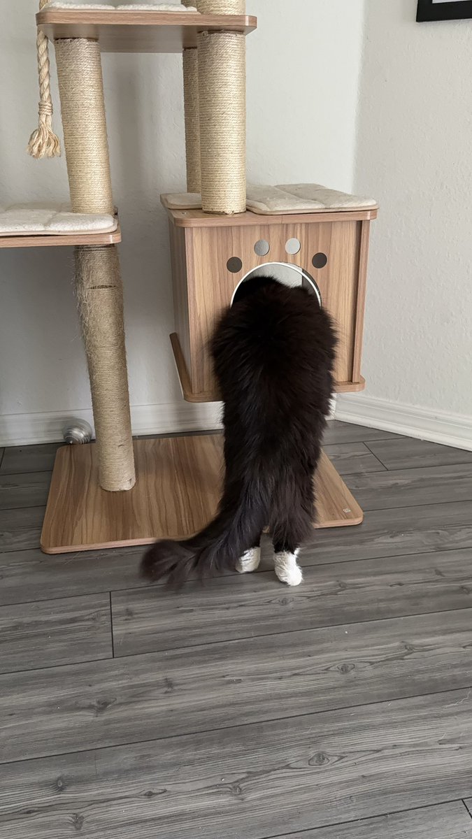 The Redheaded libertarian tweet media