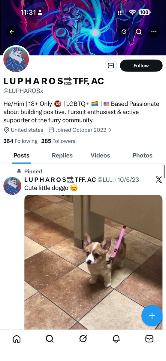 morningstarfurr's tweet photo. BEWARE: @LUPHAROSx 
This fur is running a scam in our community.
He will find people looking for rooms at cons and offer them a spot. After he takes your money he will disappear and ghost you. https://t.co/Kwt5mU59wa