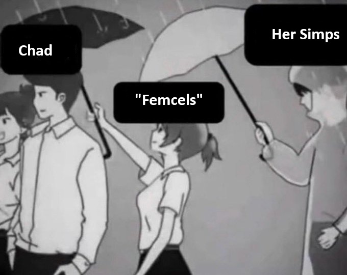 Involuntary Celibate (Incels.is) tweet media