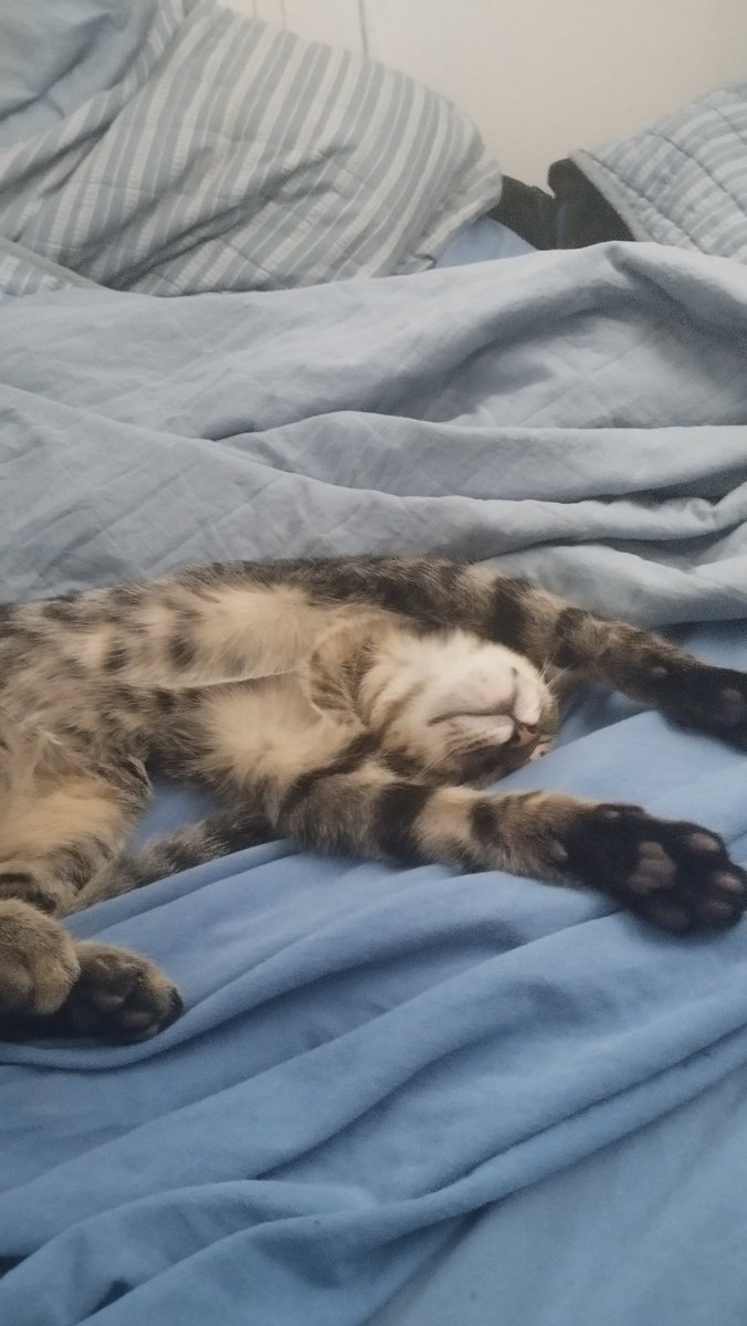 𝐕𝐄𝐍𝐄𝐍𝐗 tweet media