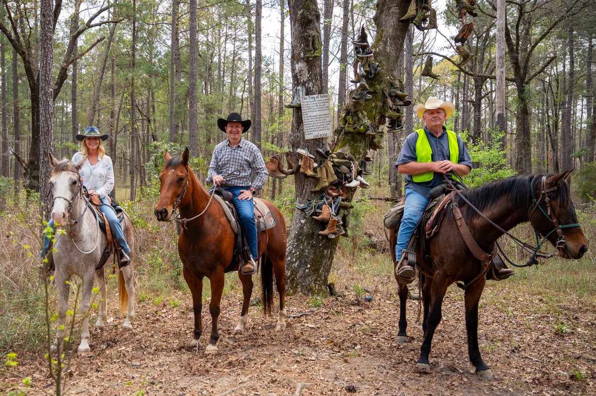 Jeff Landry tweet media
