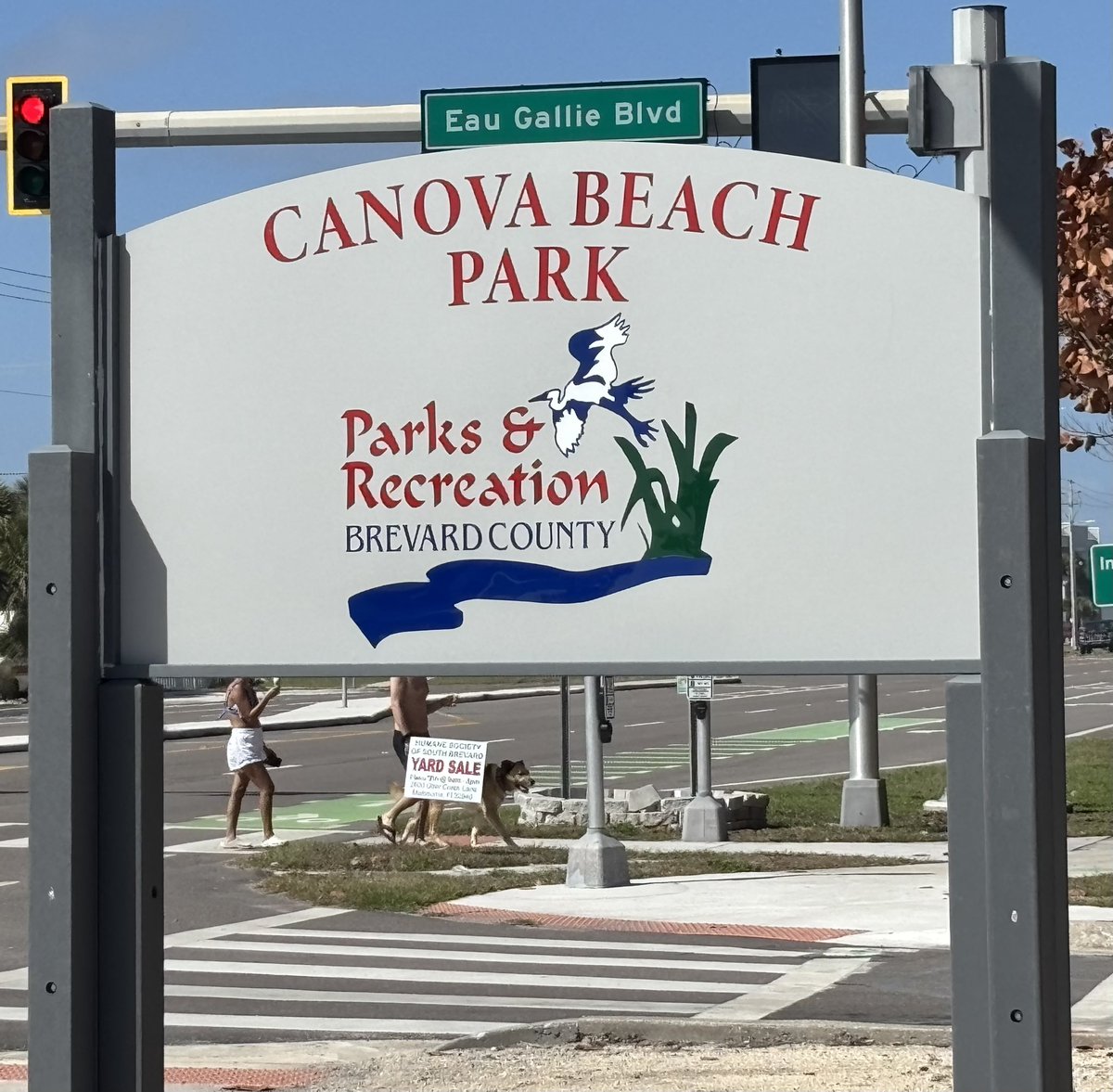 RevShevWLC's tweet image. BTT March 7 7th Try to Post Edition: It was a leisure day in Melbourne FL! @Shevey_8 is “working” this week for @coachflegel &amp;amp; @WLCSoftball so we walked to &amp;amp; on the beach, went to New Hope LC (thanks for feeding us!) &amp;amp; cheered on @WLC_WBB from afar! #RevShevSB2026 #maybethistime