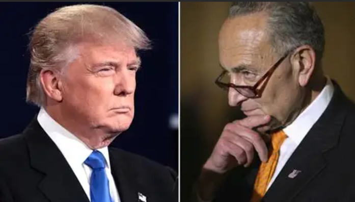 Conservative Brief tweet media