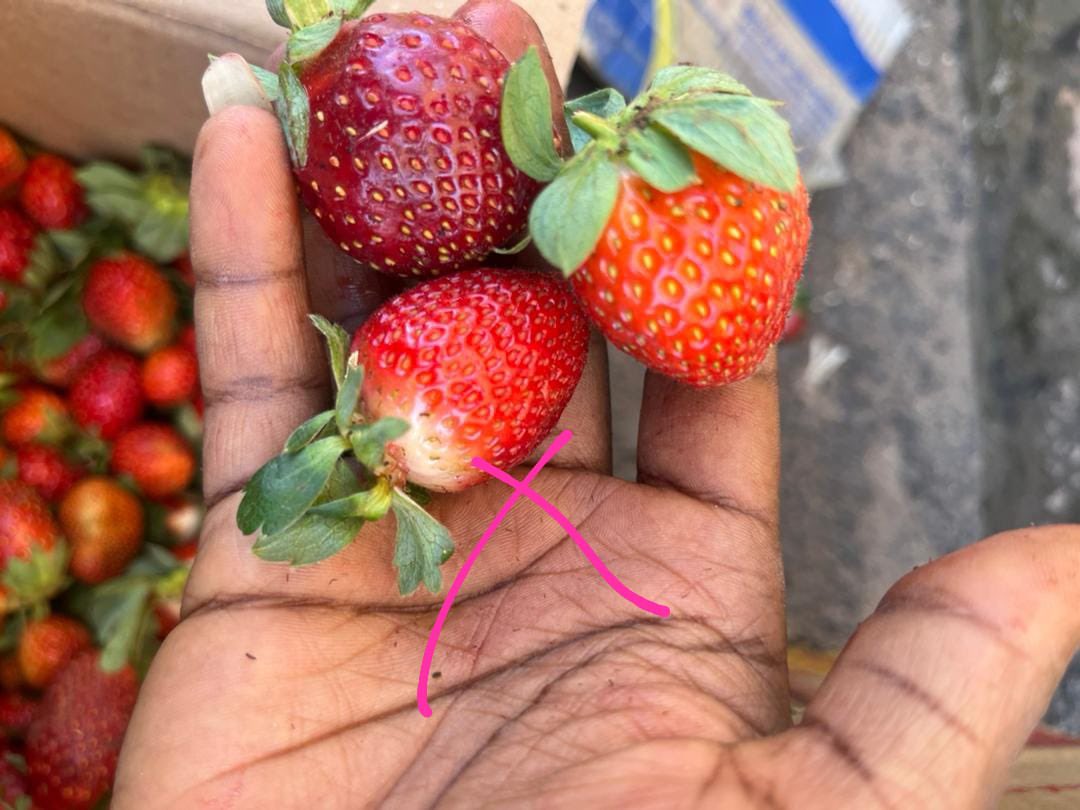 Lois B 🍓🍇 tweet media