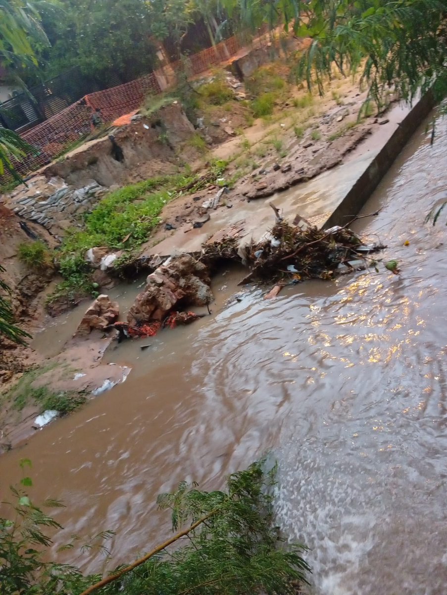 Diego Lansac tweet media