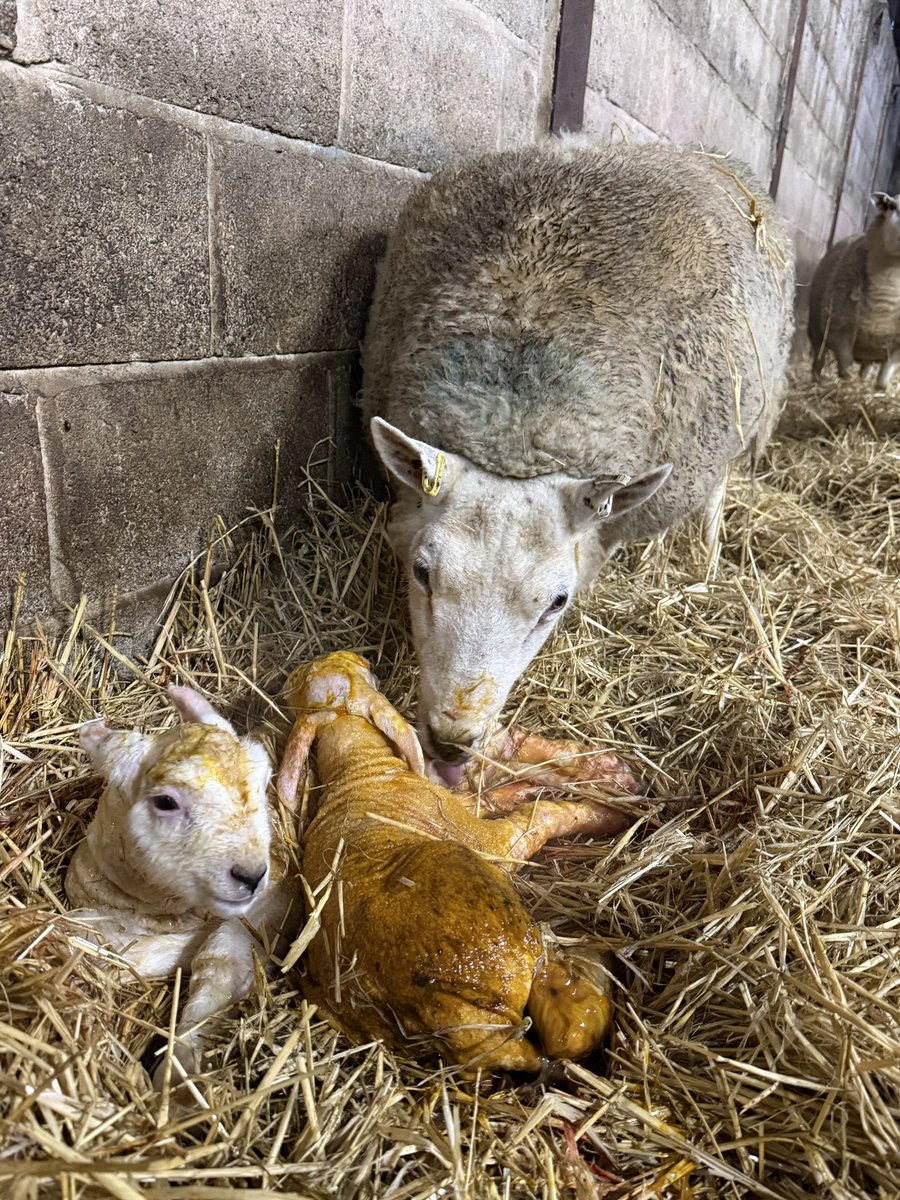 Robbie Moore MP tweet media