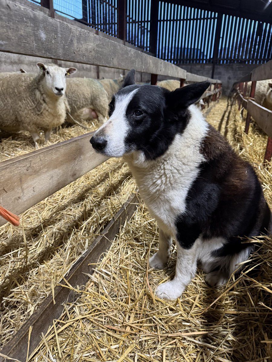 Robbie Moore MP tweet media