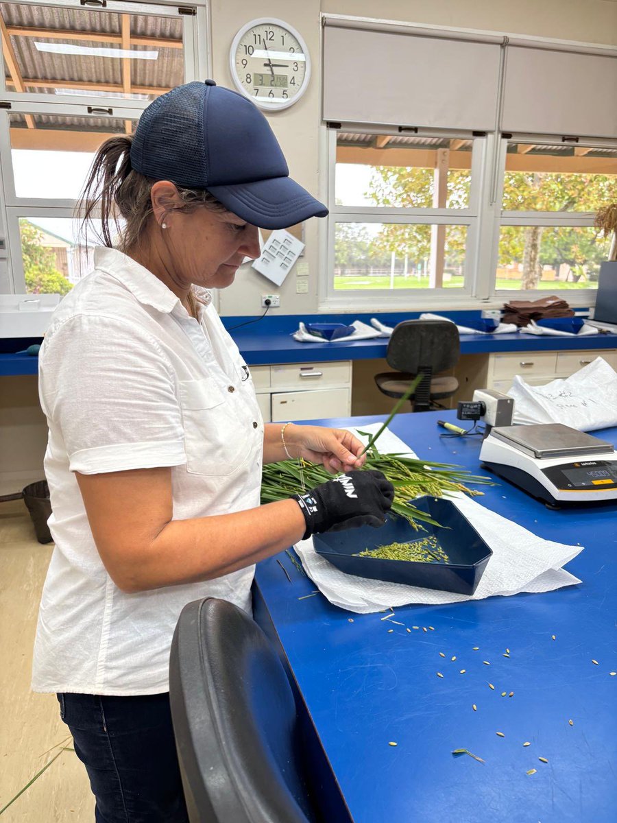 Rice Extension tweet media