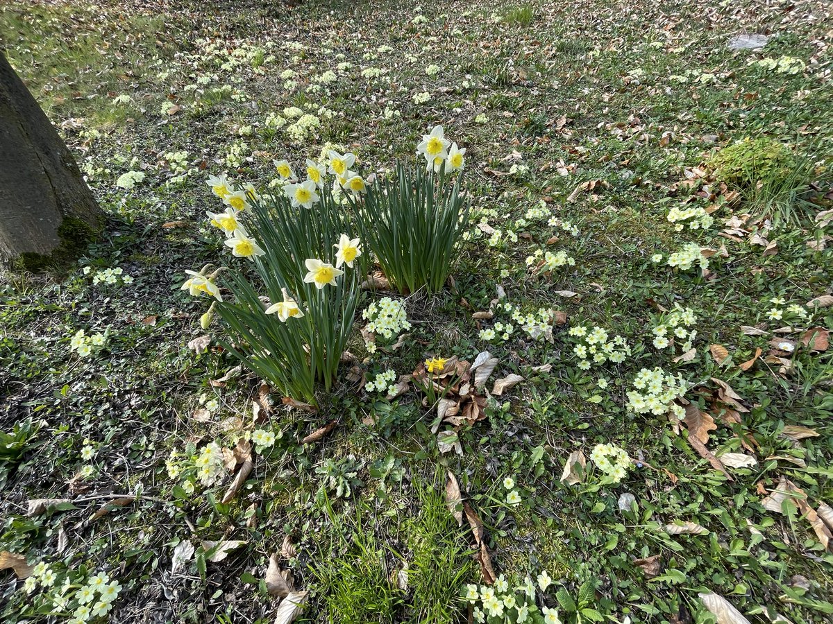 Anna Lucia Montanari tweet media