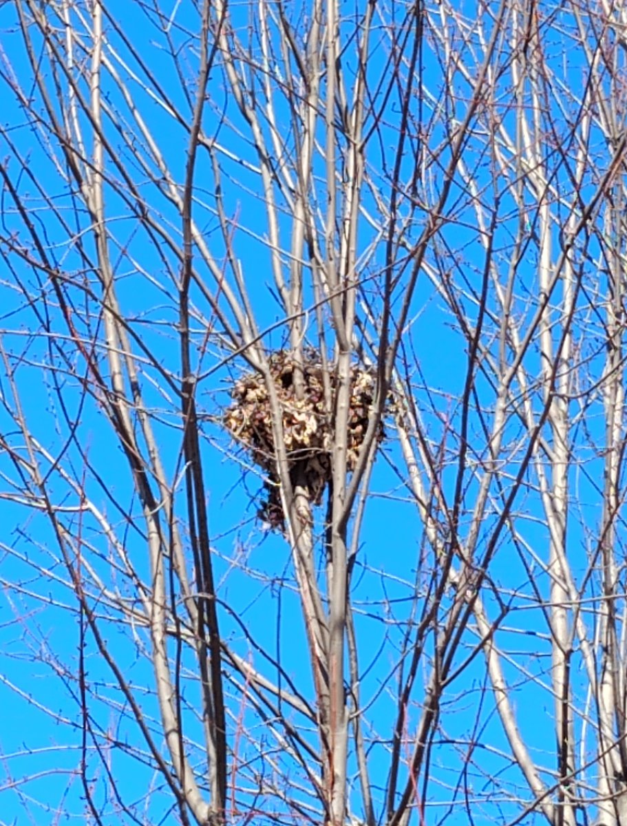 smARTway design tweet media