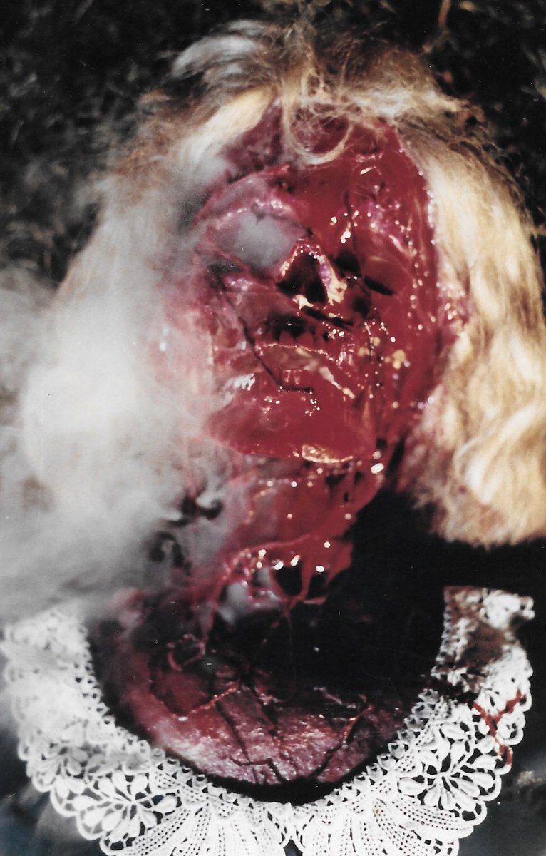 Visual Vengeance tweet media