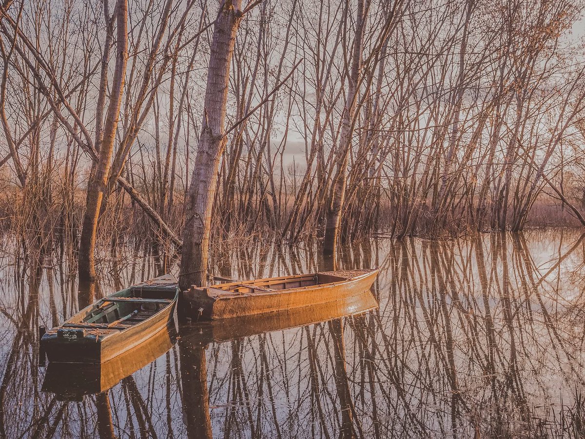 Pkostanzo's tweet photo. Padule Fucecchio |2026 #fucecchio #padule #landscape #landscapephotography #tuscany #marsh https://t.co/joxrWEqnLx