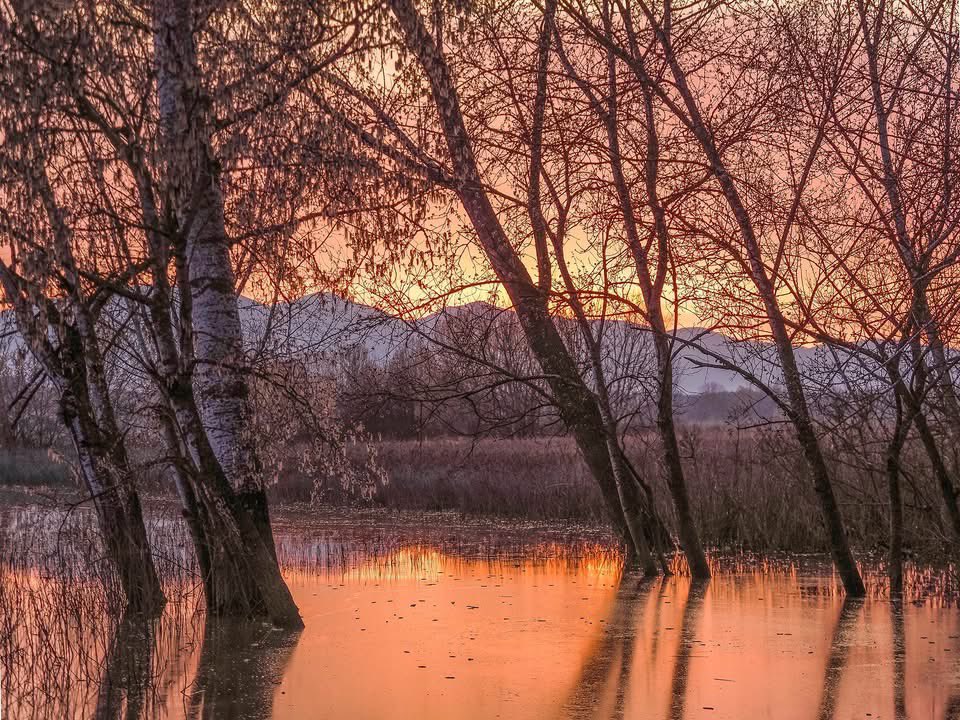 Pkostanzo's tweet photo. Padule Fucecchio |2026 #fucecchio #padule #landscape #landscapephotography #tuscany #marsh https://t.co/joxrWEqnLx