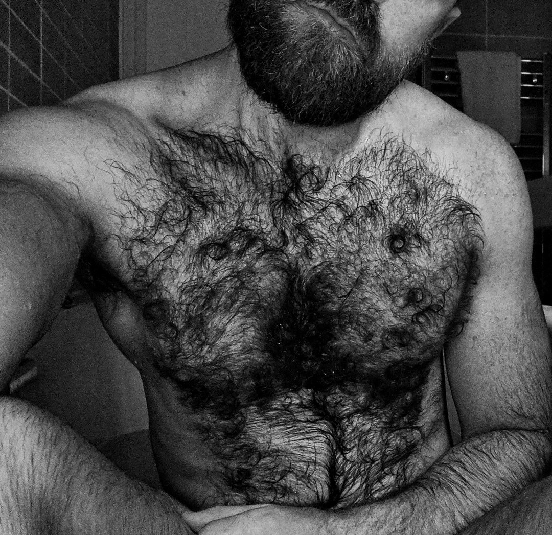 Hairy and XXL 🦦🐴 tweet media