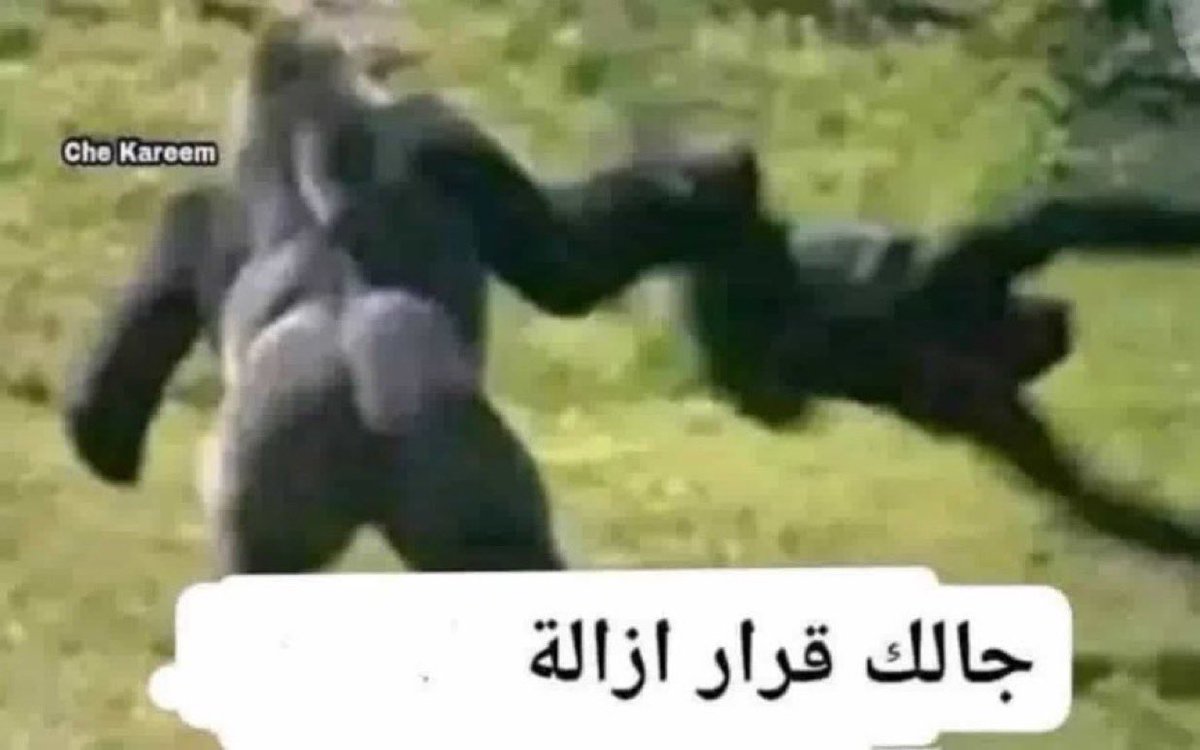 وليد العنزي tweet media