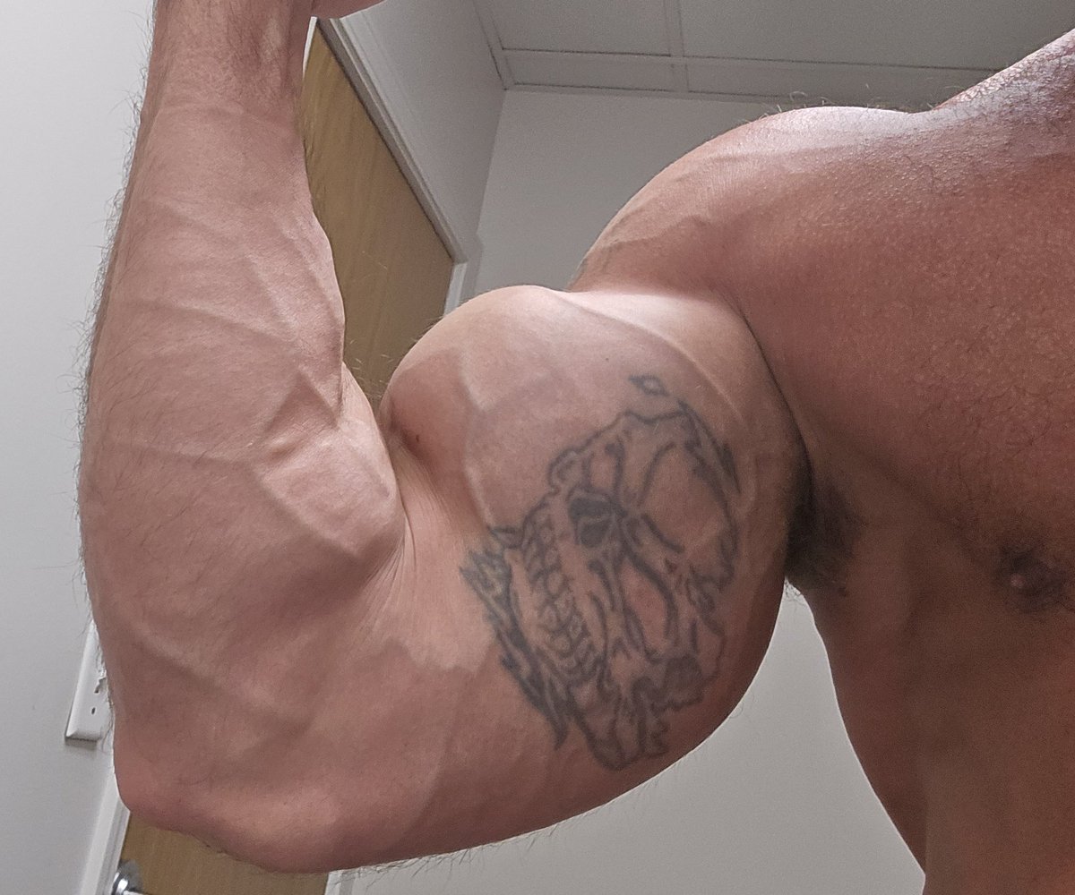 Majorrob101 tweet media