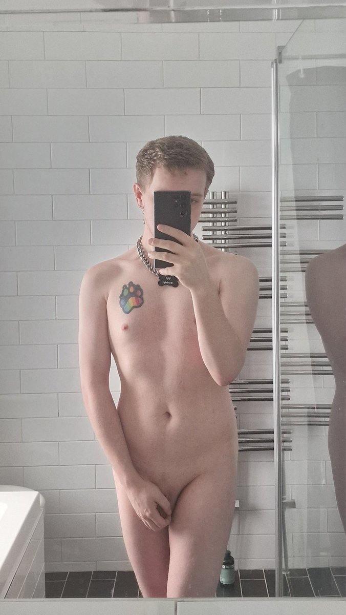 Buddy The Pup tweet media