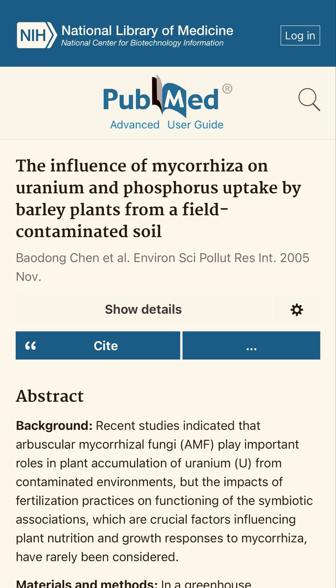 Rand Hamid الصفحة الرسمية tweet media