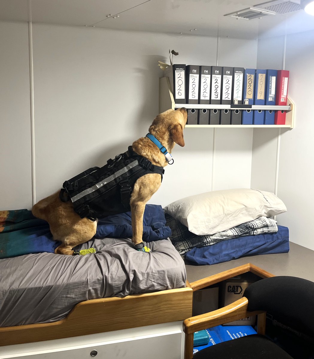 New Zealand Customs Service tweet media