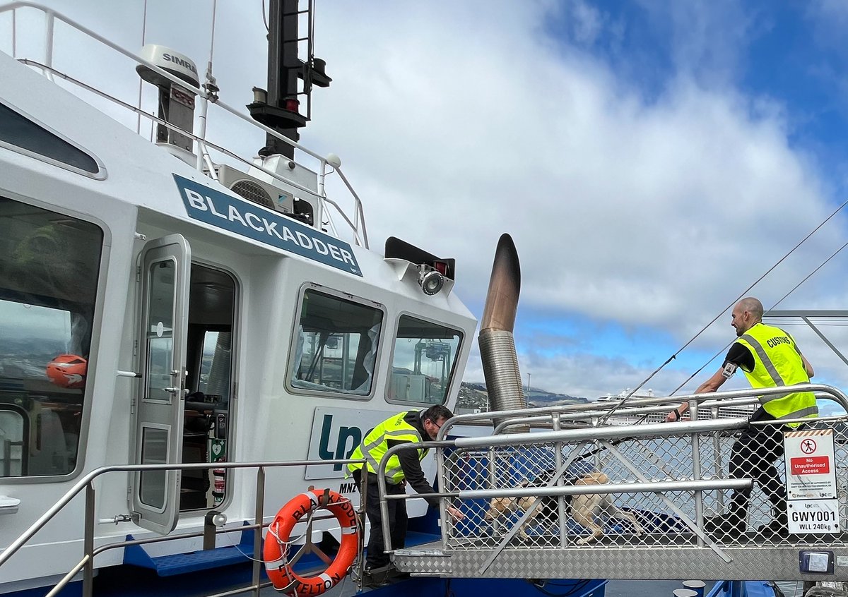 New Zealand Customs Service tweet media