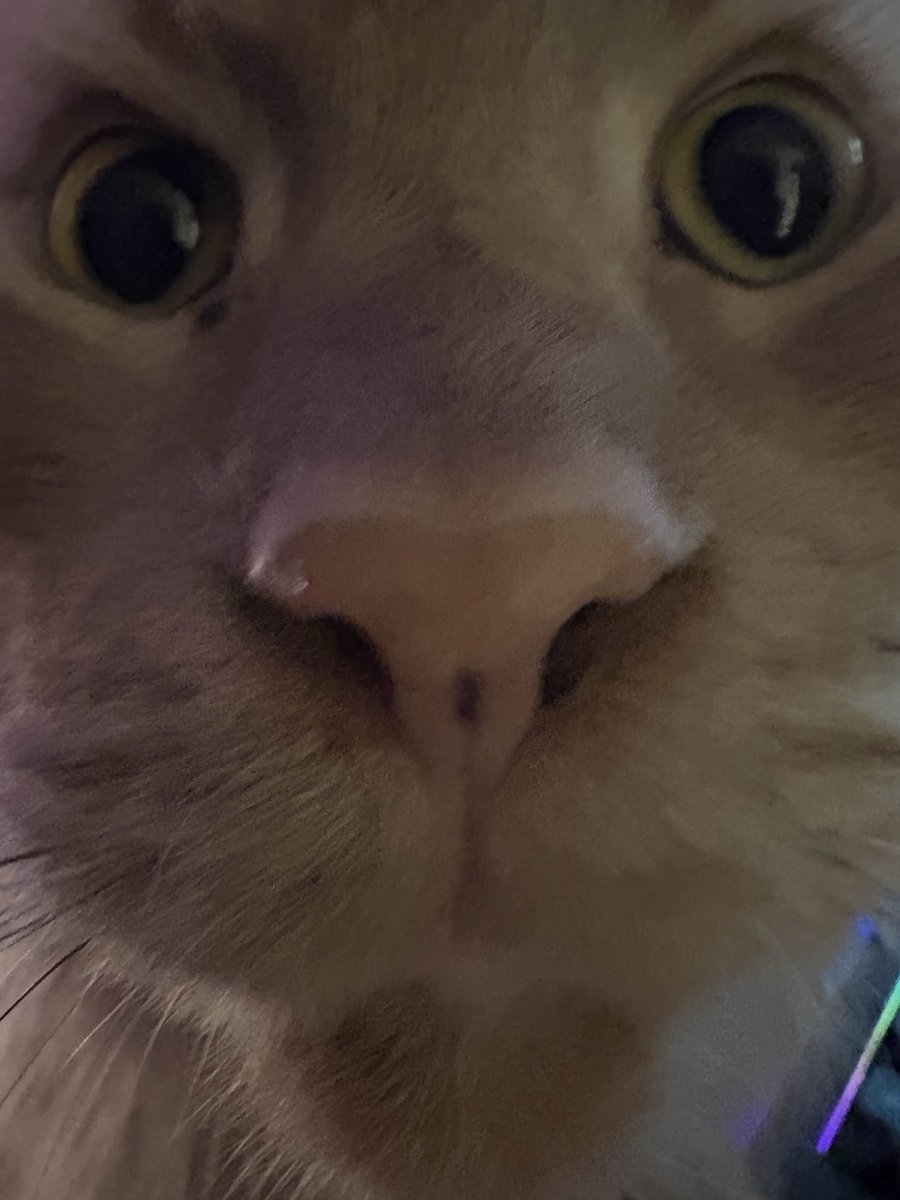 Seranged tweet media