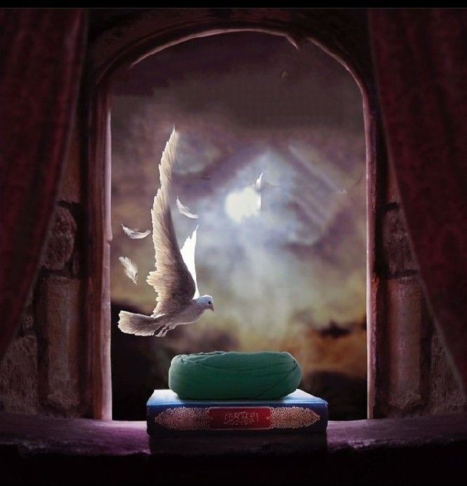 دو خط شعر tweet media