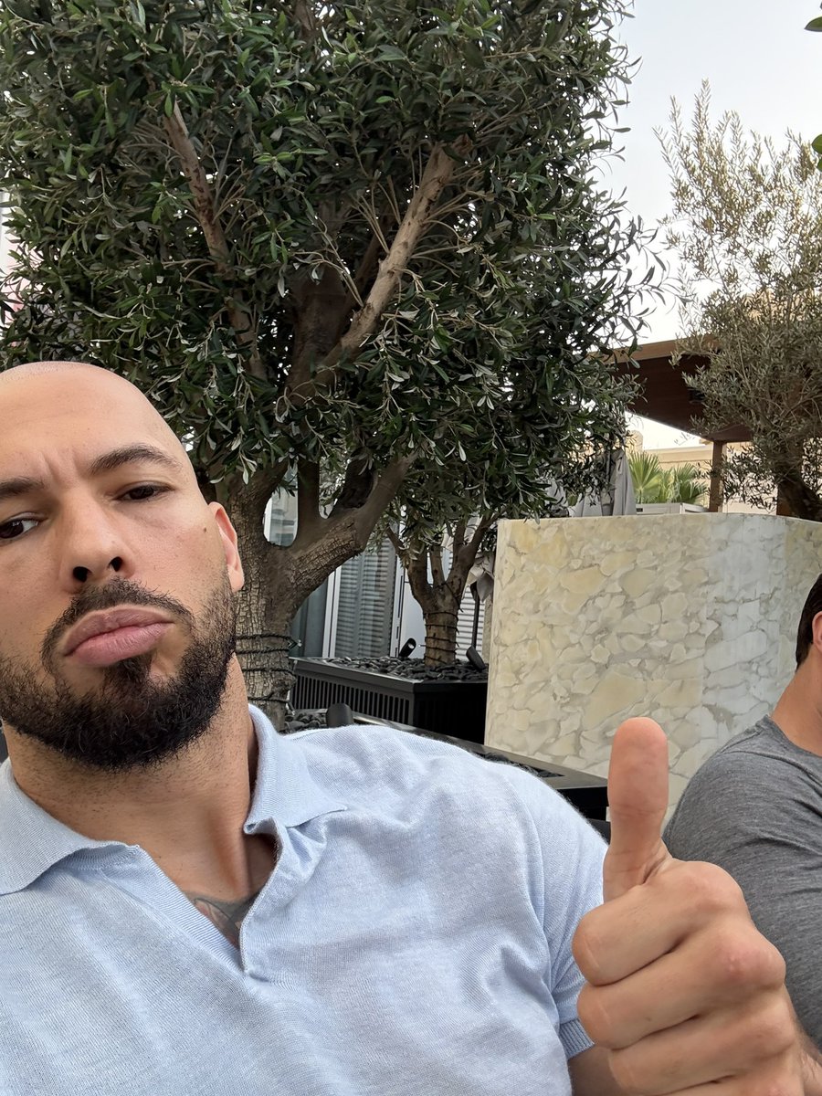 Tates Platform tweet media