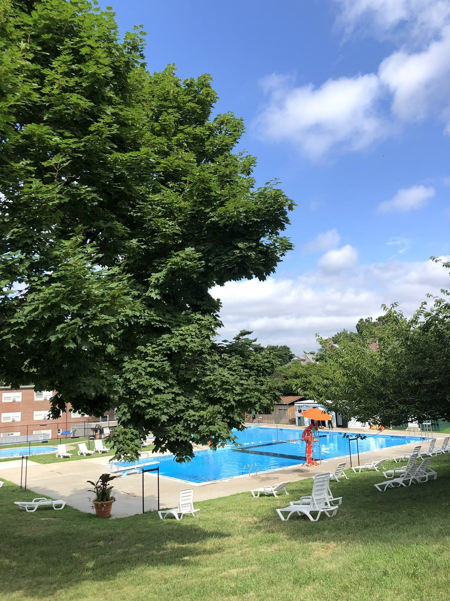 Zhong Jinhua🇺🇸 tweet media