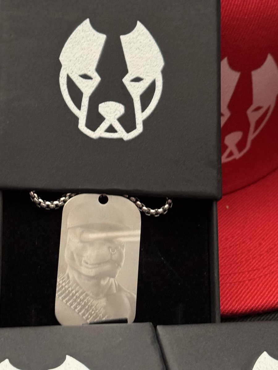 ALPHA DOGS tweet media