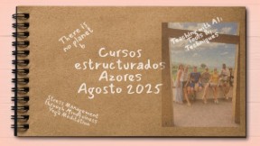 Cris Nóvoa tweet media