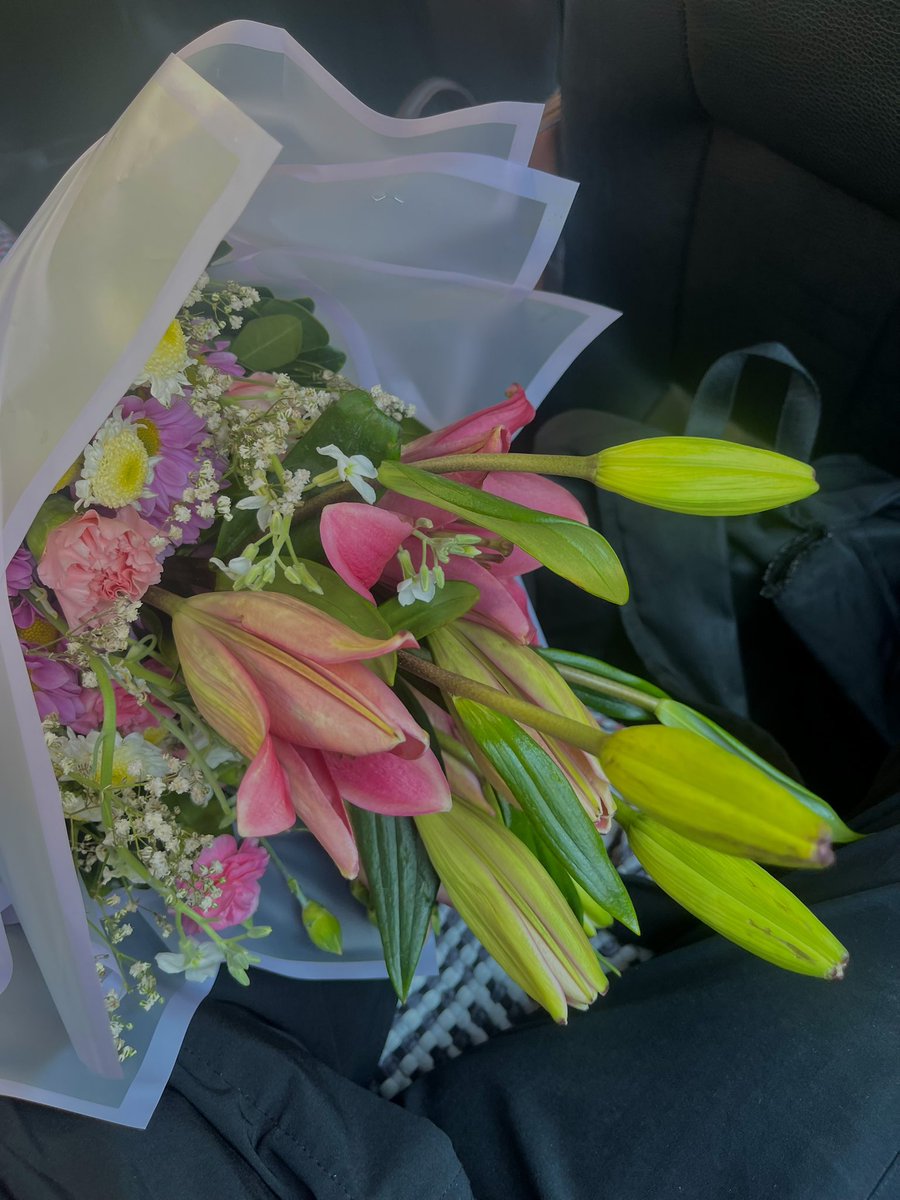 strellazoo's tweet photo. el sentimiento que te regalen plantitas de lirios ❤️‍🩹 https://t.co/bcqCswT0BC